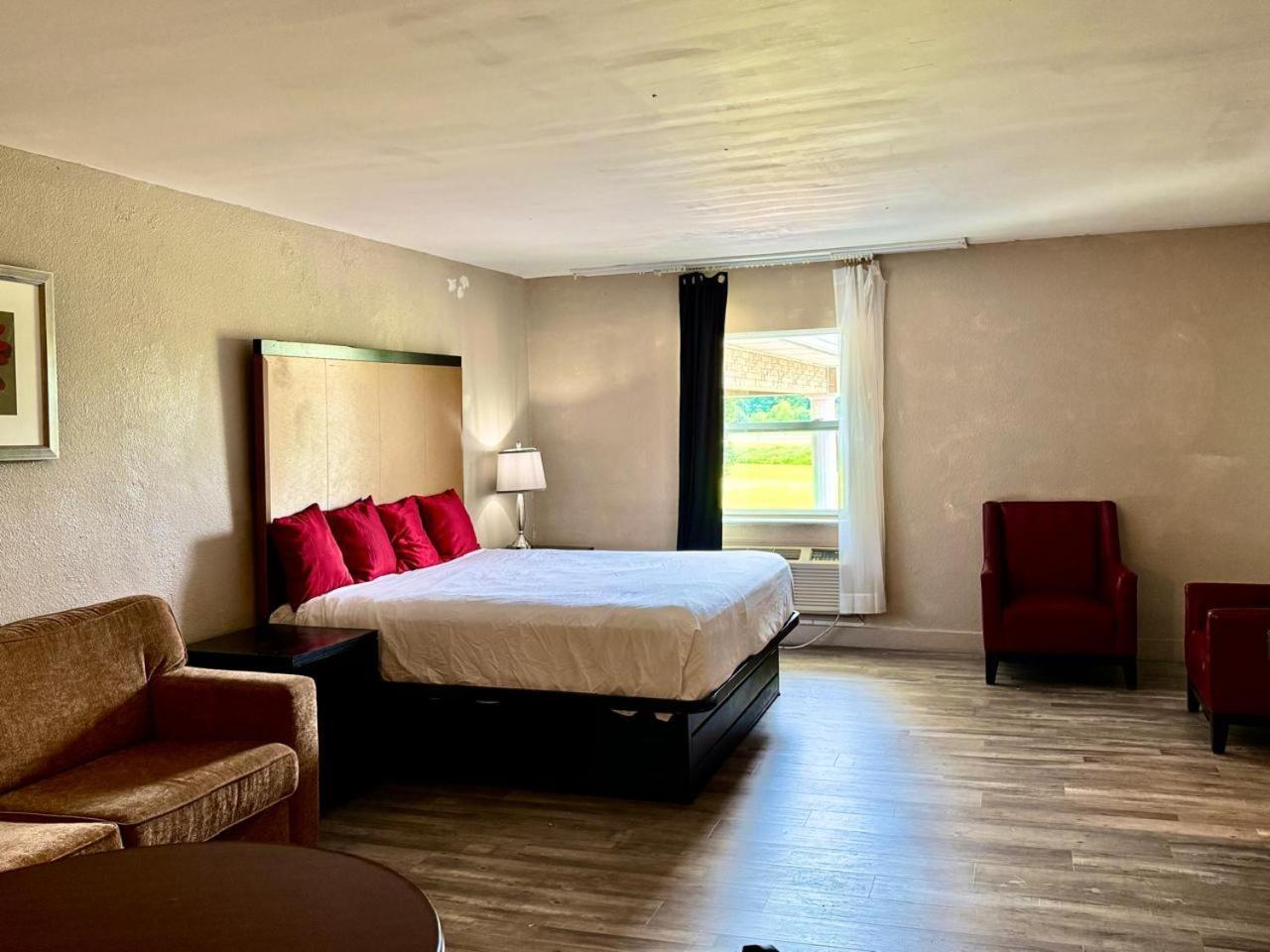 1 King Bed | Suite Non-Smoking Sofa-Bed