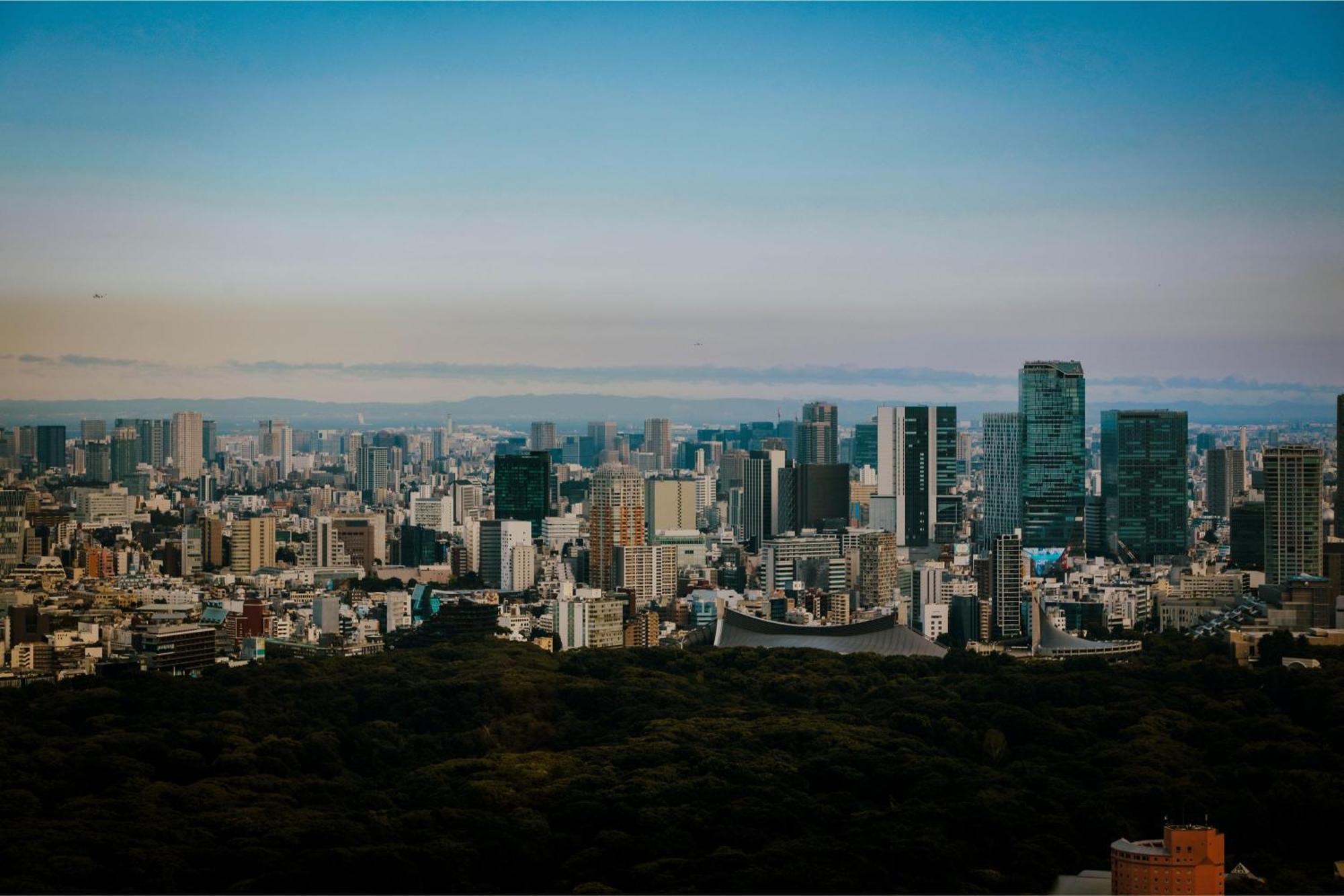 King Room City View