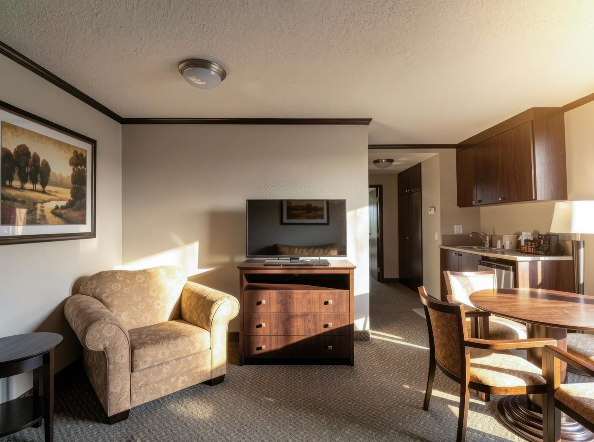 Suite Room 1 King Bed Sofa Bed Mountain View