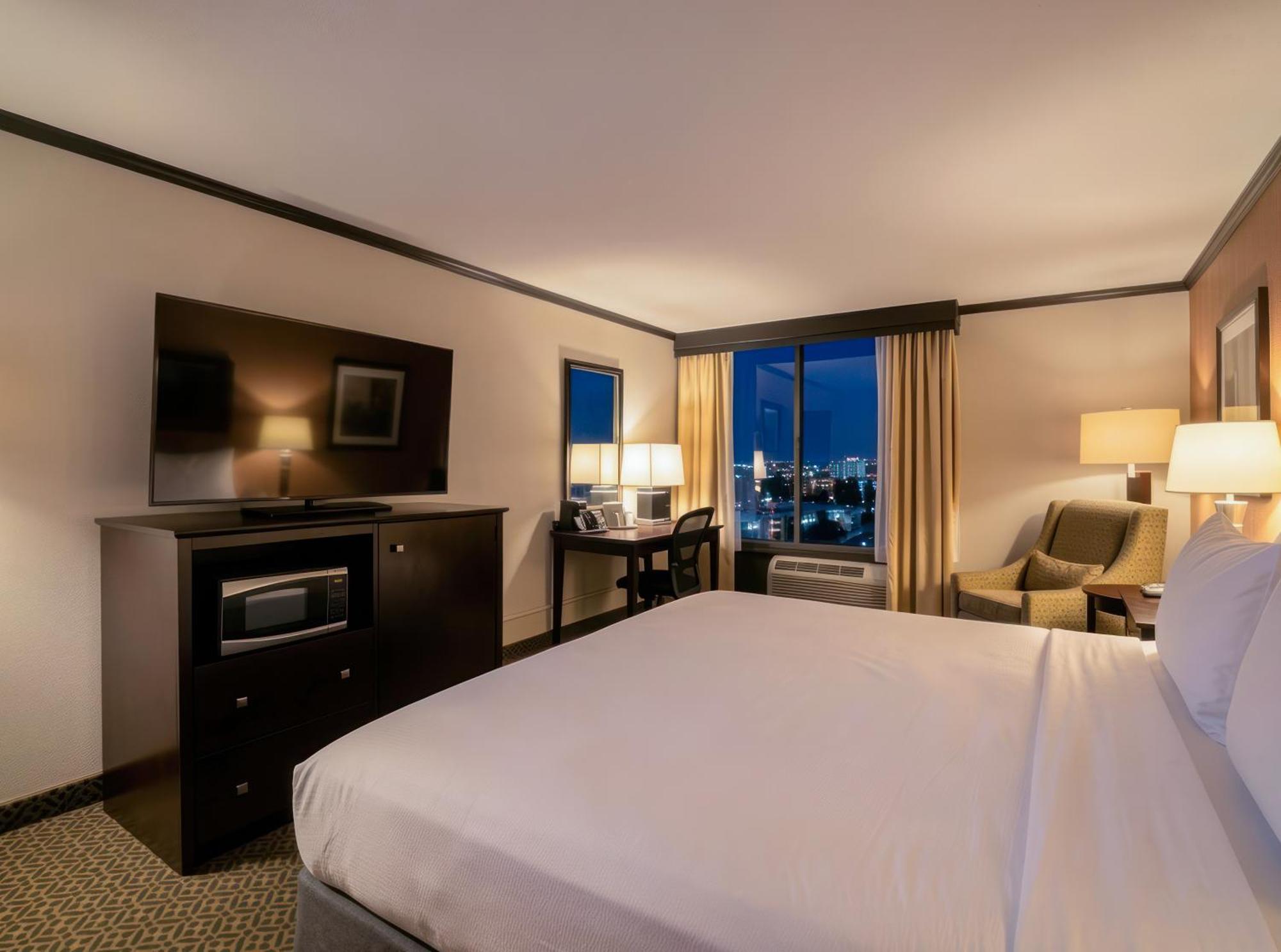 Executive Room 1 King Bed Mountain View