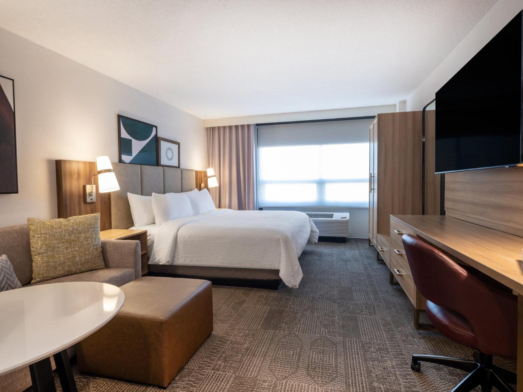 King Studio Suite with Sofa Bed