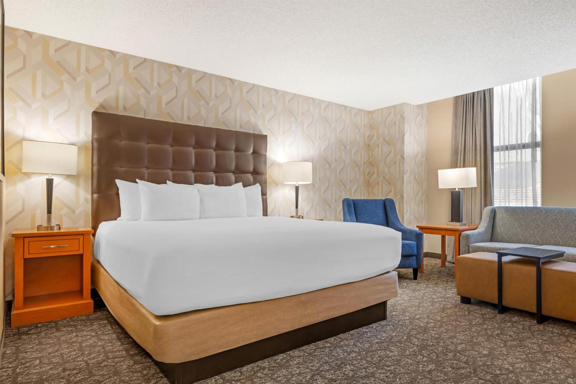 Deluxe King Room with Sofa Bed - View