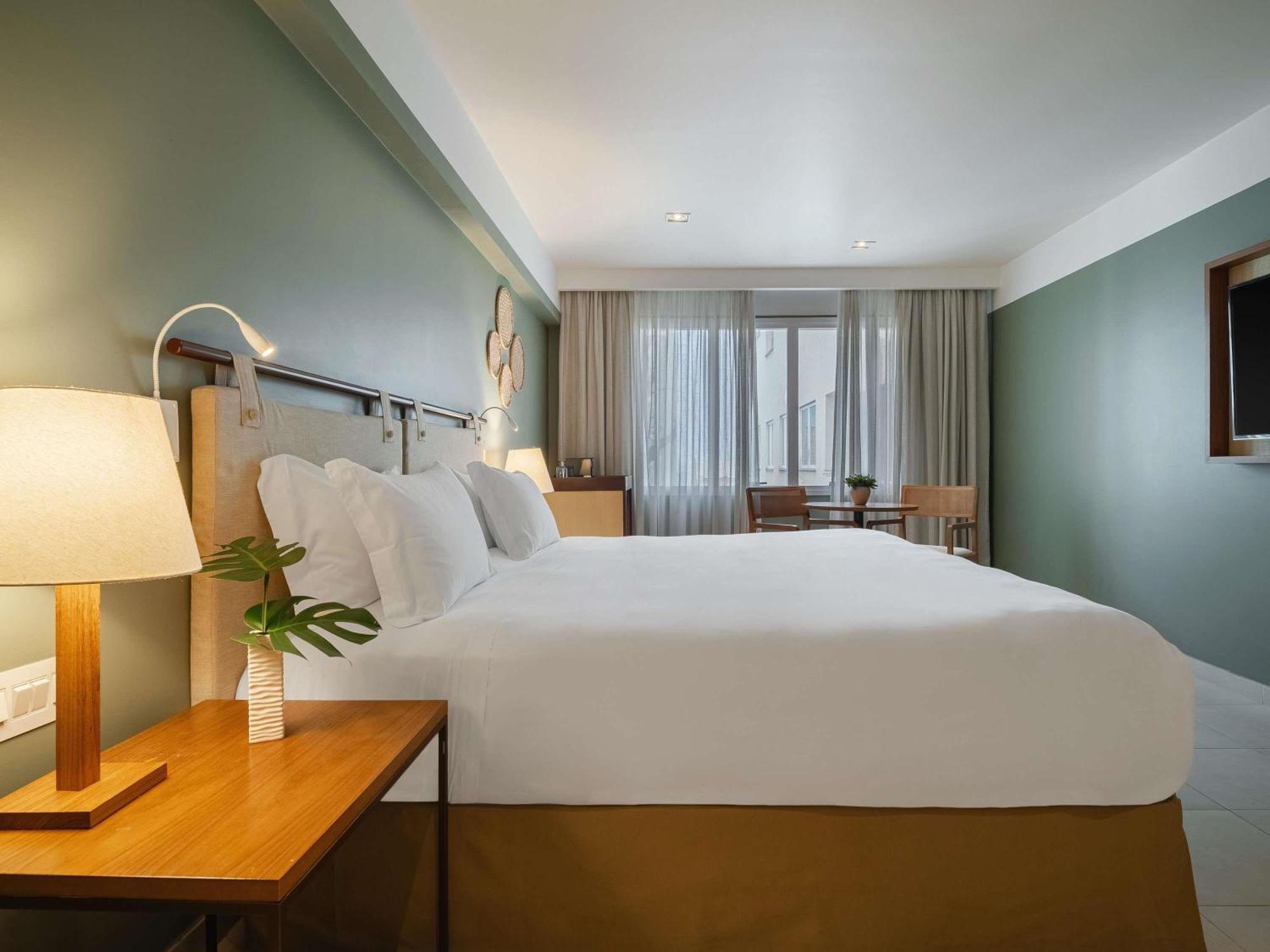 Superior Apartment One King Bed Disability Access