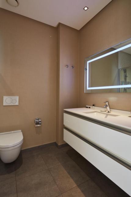 Deluxe One-Bedroom Apartment