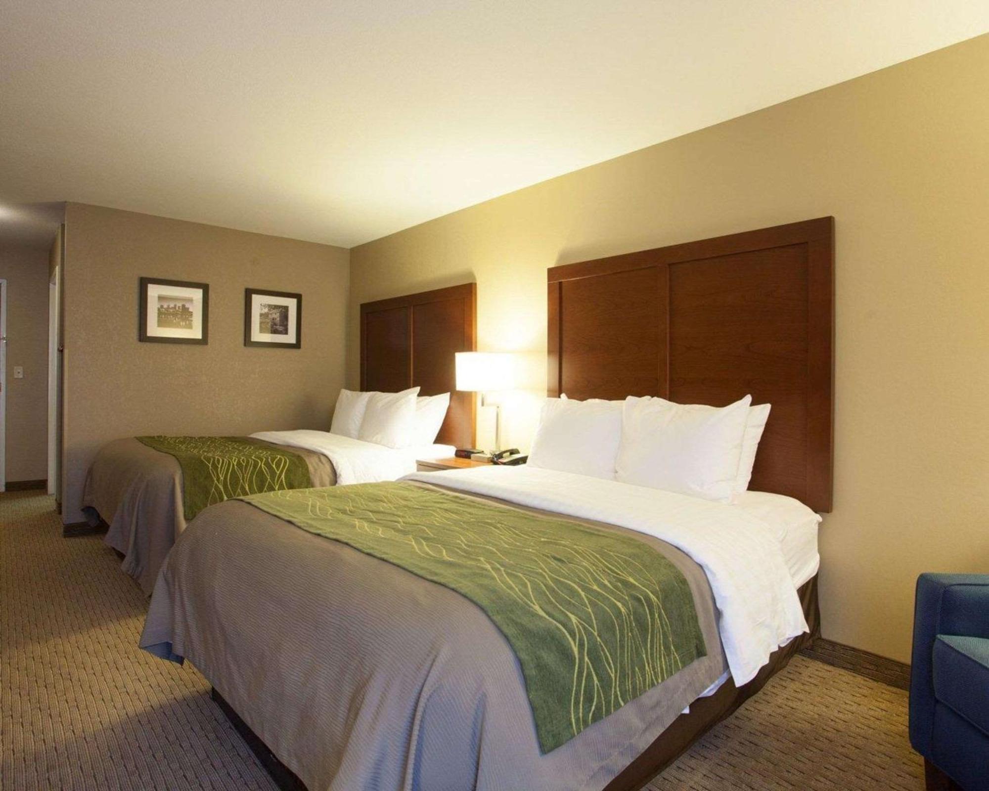 Queen Room with Two Queen Beds - Non-Smoking