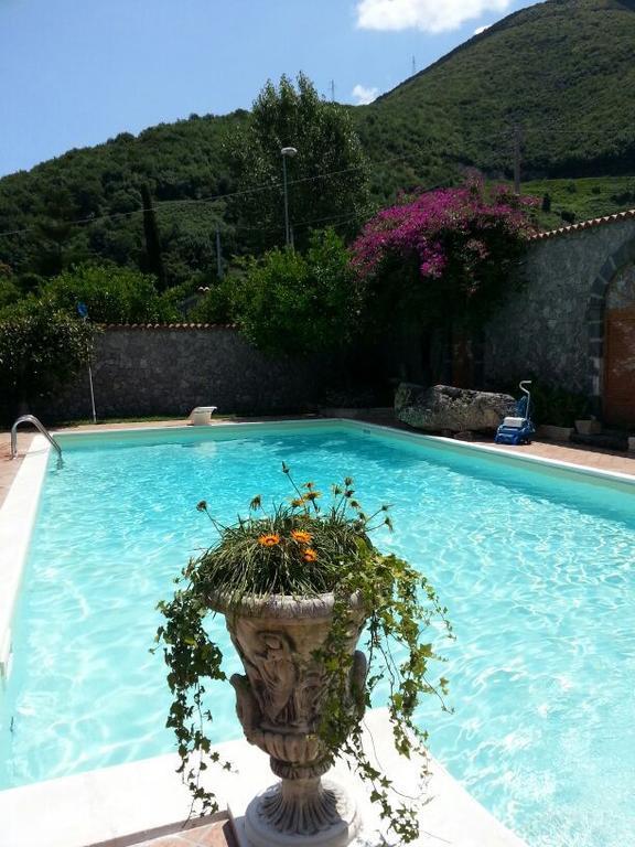Chalet con 1 Camera da Letto e Terrazza (4 Adulti)