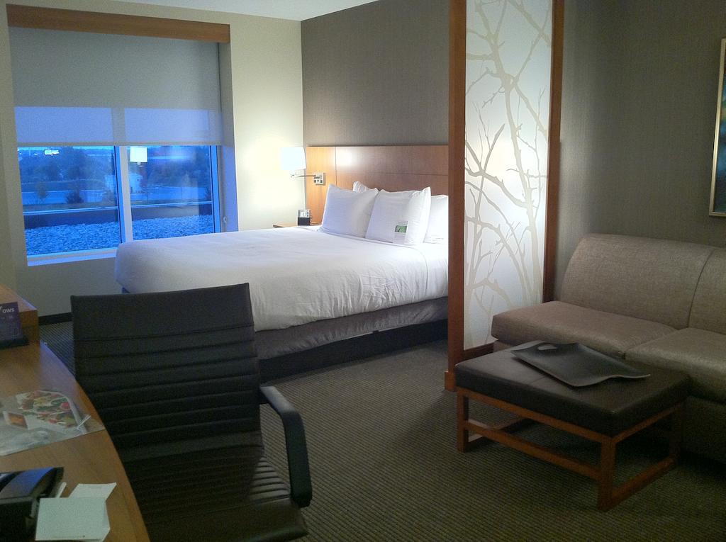 King Room with Sofa Bed and Roll-In Shower - Disability Access