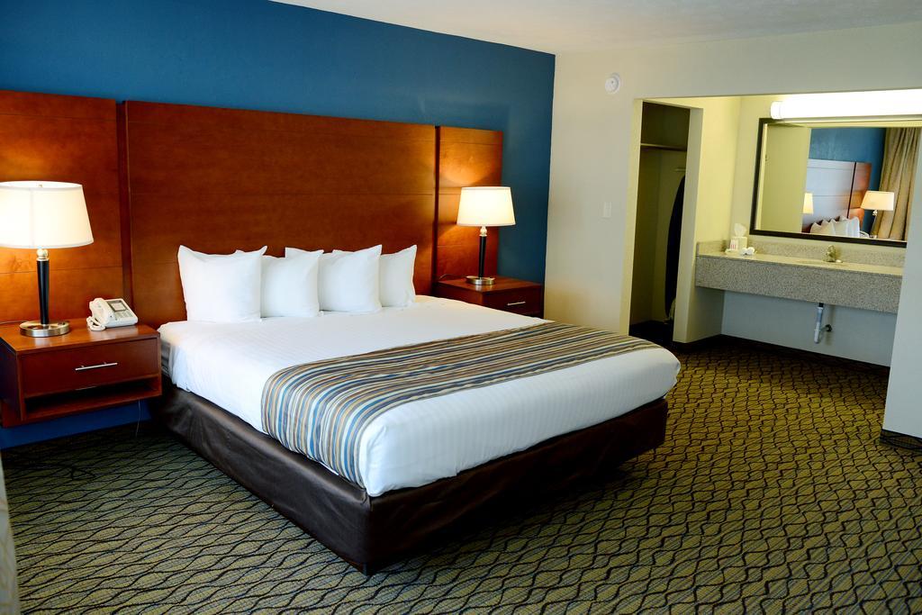 Courtside King Room Pet Friendly