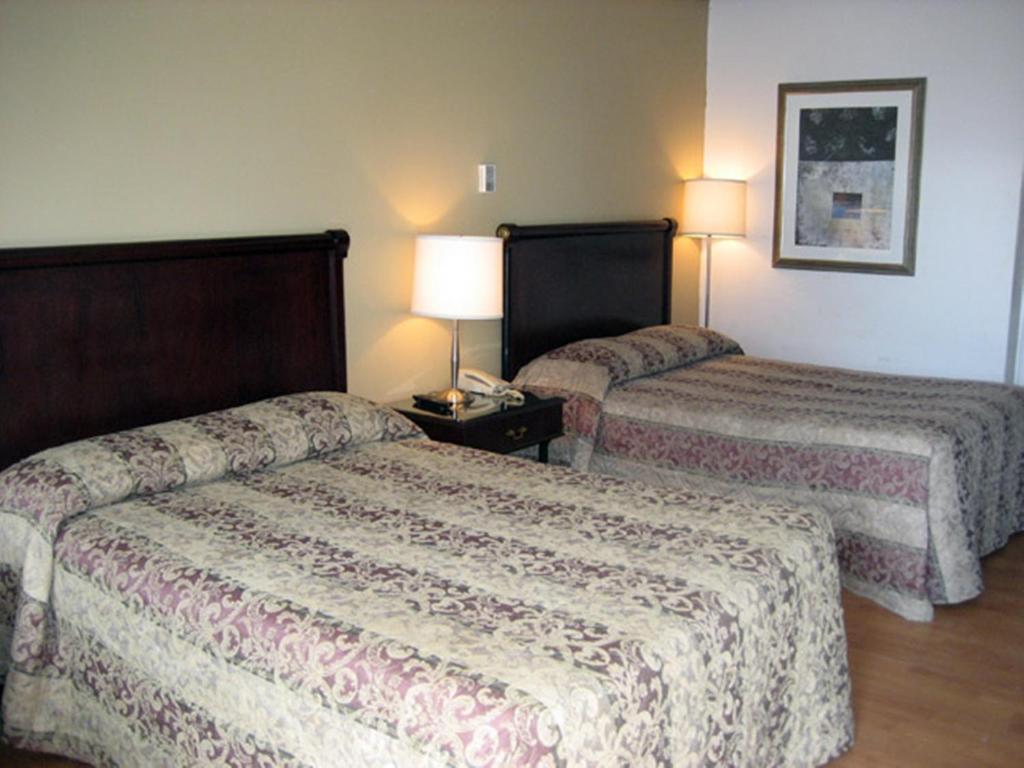 Double Room with Two Double Beds