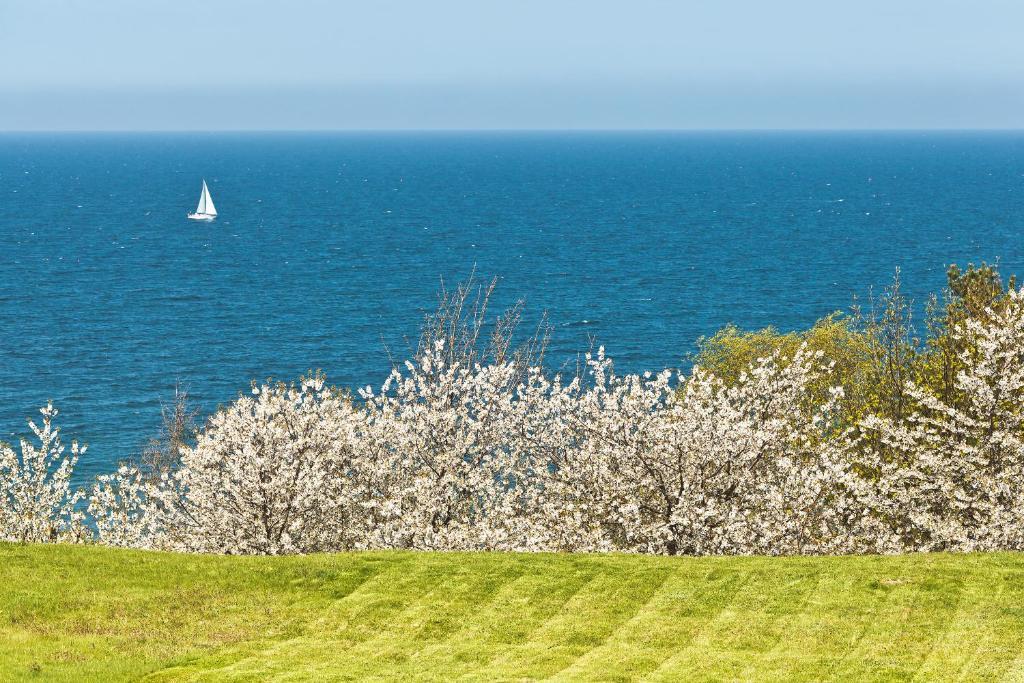 Bungalow (2 Erwachsene) mit Meerblick