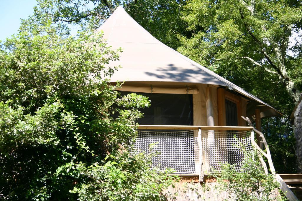 Deluxe Double Lodge River View