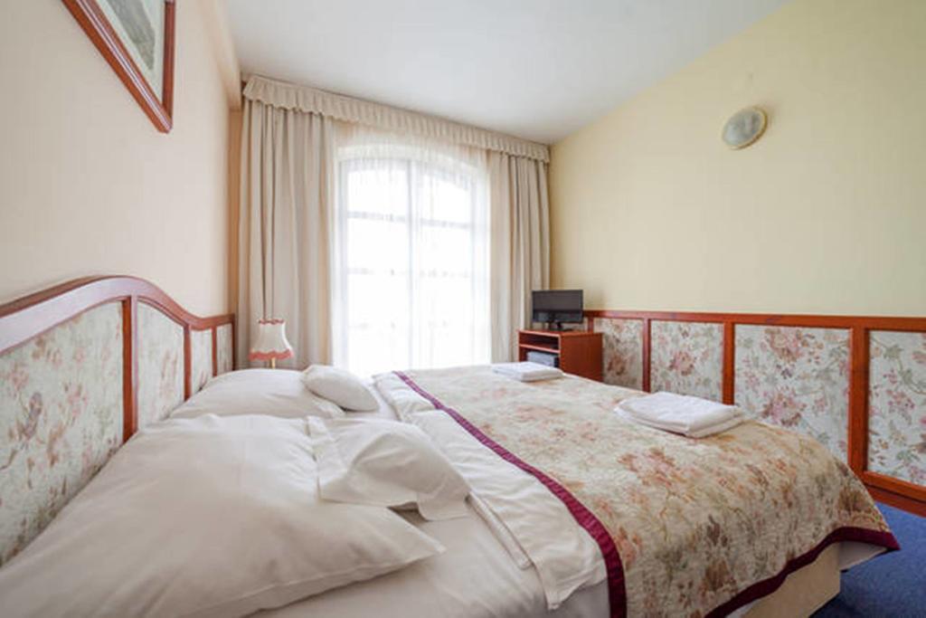 Double or Twin Room Balcony Mountain View