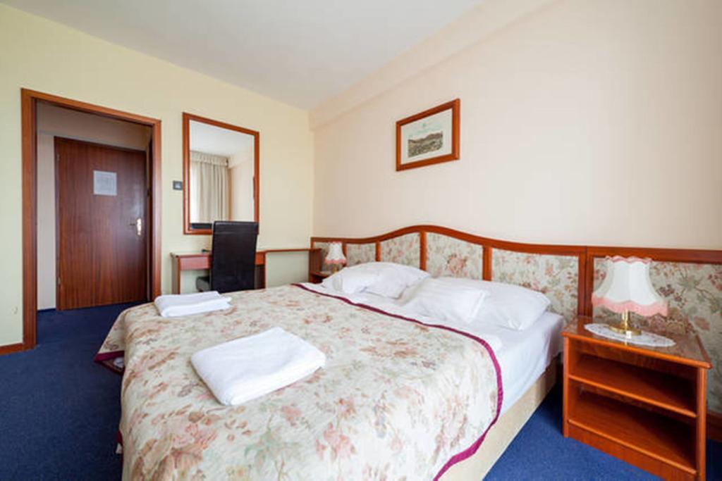 Double or Twin Room Balcony Mountain View