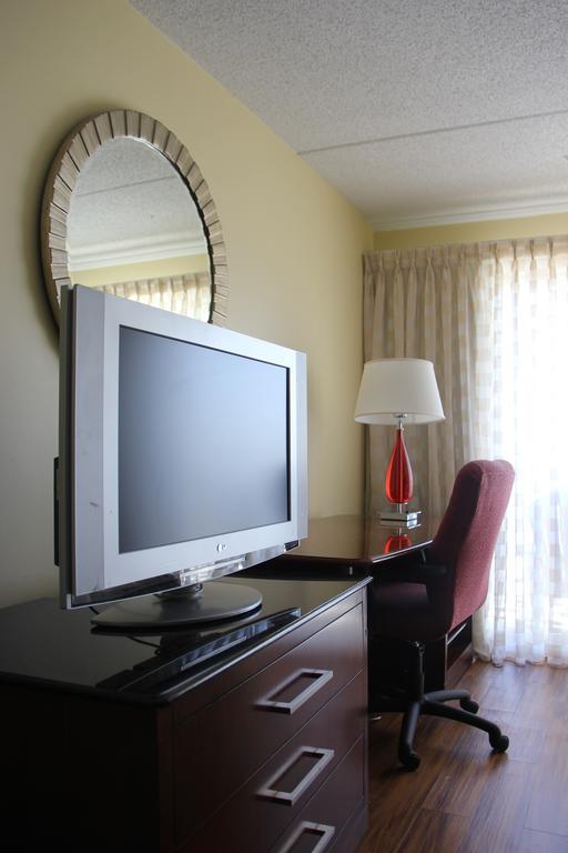 King Room Balcony,394038081:JPEG