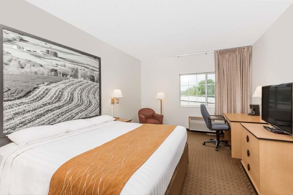 1 King Bed Non-Smoking