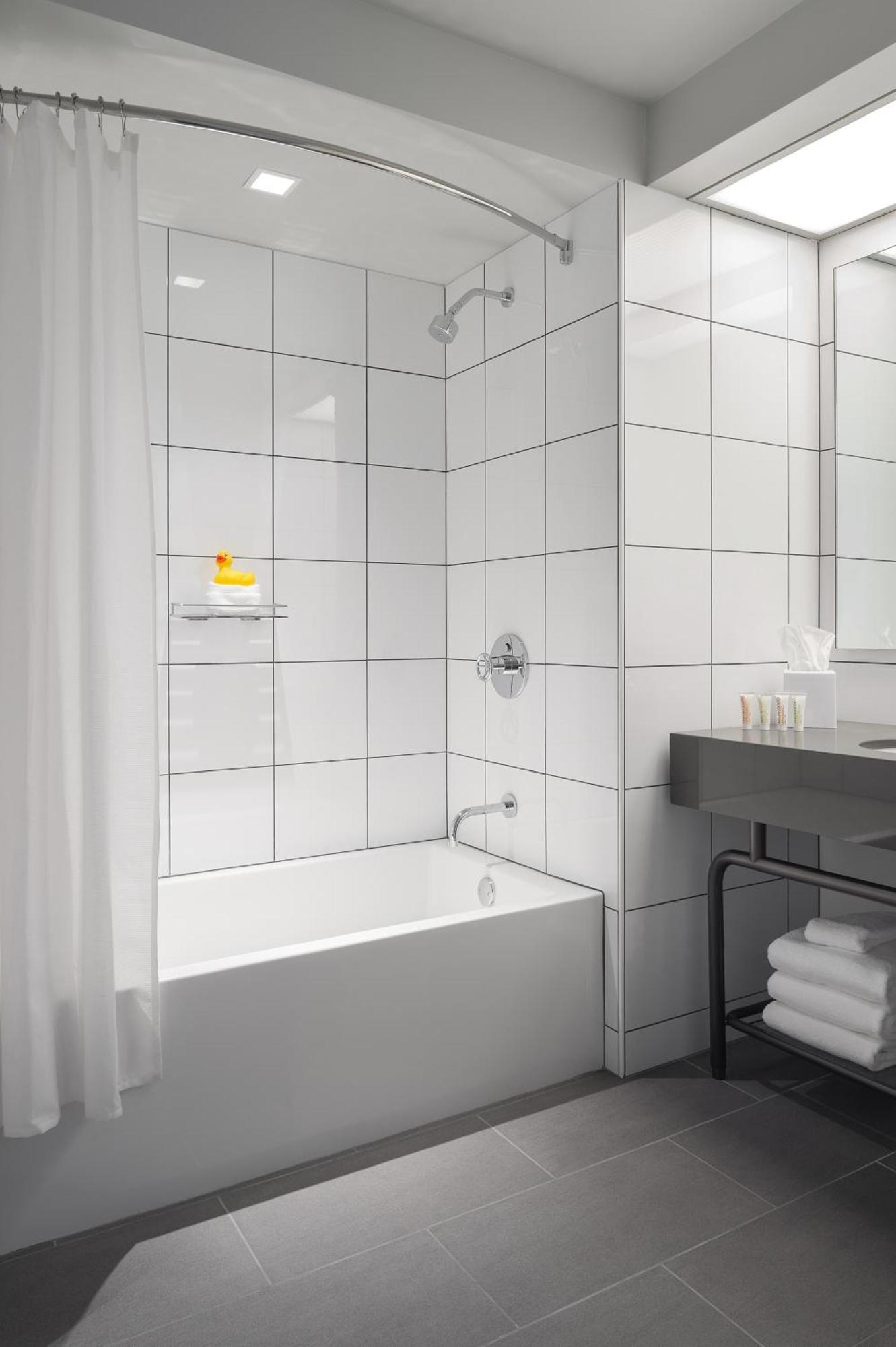 King Room Roll Shower Disability Access