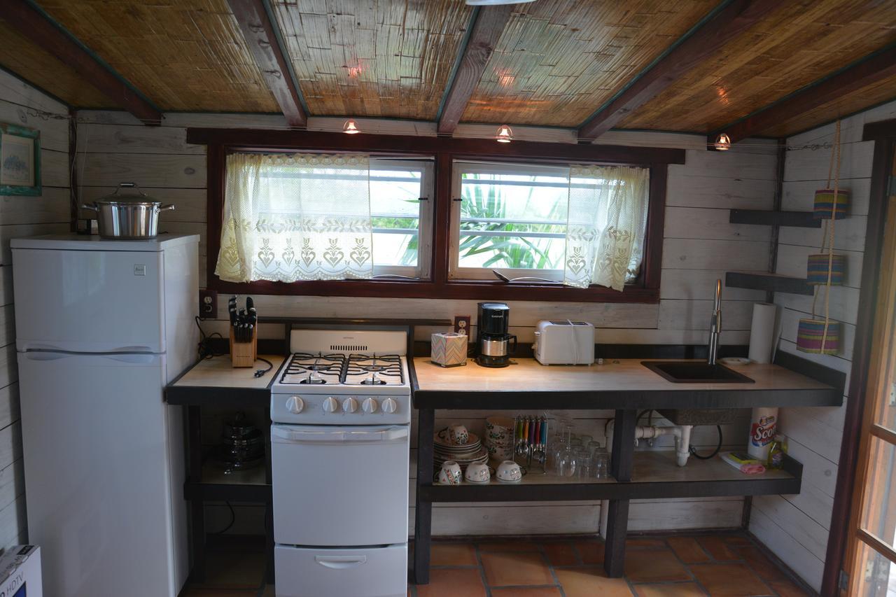 Single Room with Garden View