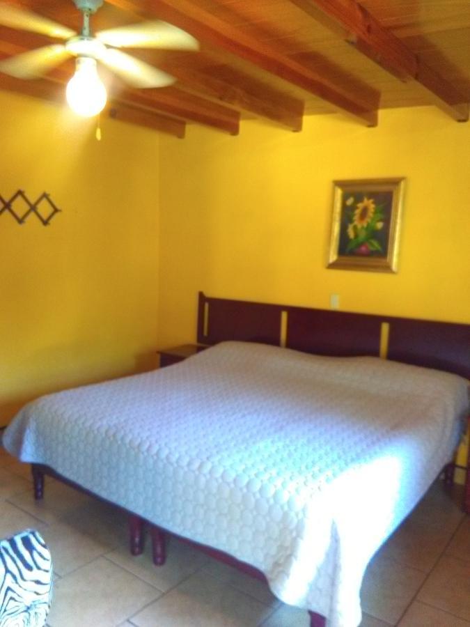 Habitación con cama extragrande.