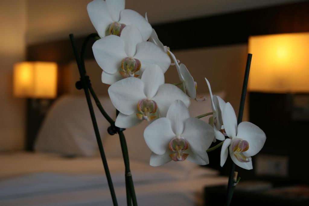 Business-Zimmer mit Queensize-Bett