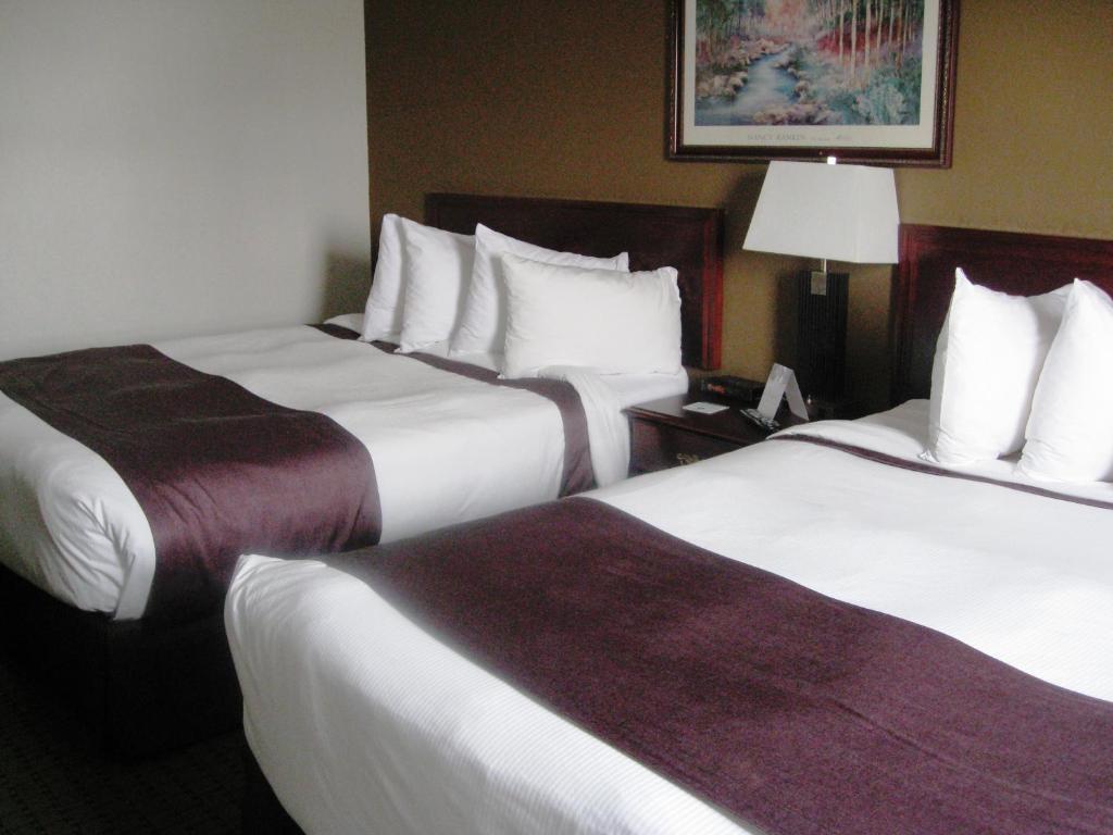 Queen Room with Two Queen Beds - Non-Smoking