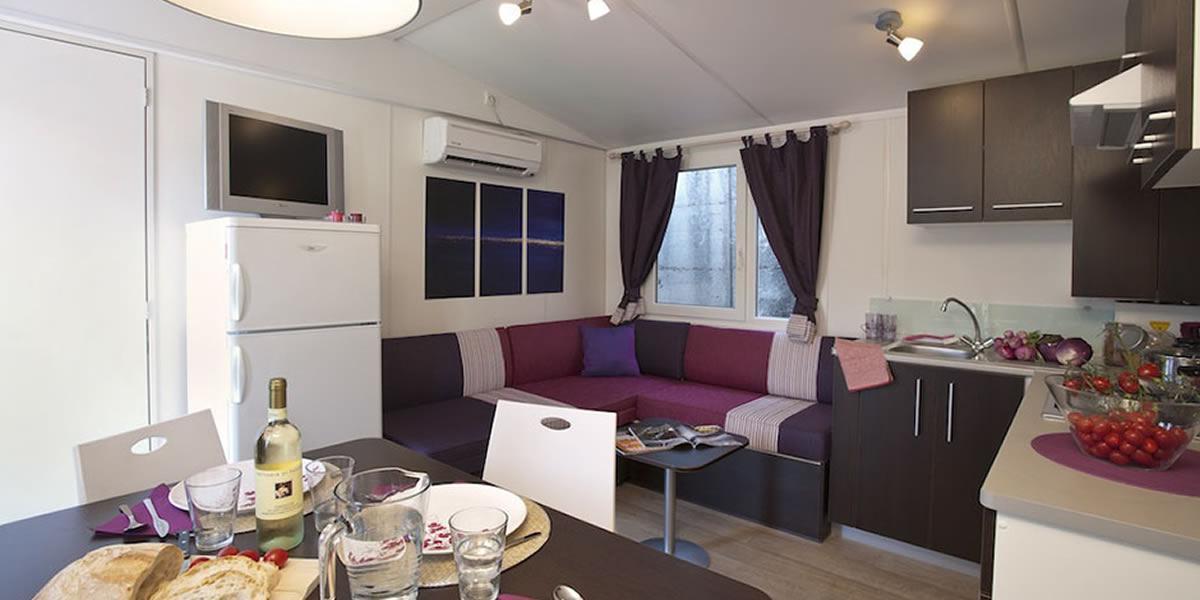 Mobile Home