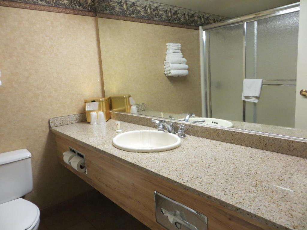 Habitación Deluxe con cama extragrande - No fumadores