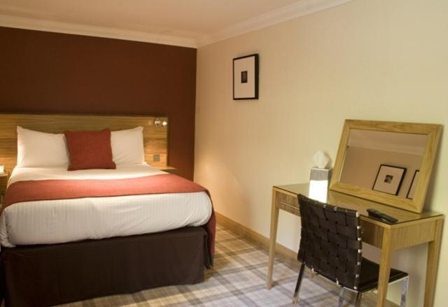 Snug Guest Room