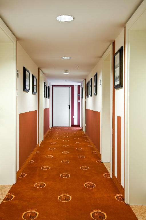 Single Room,63161887:JPEG