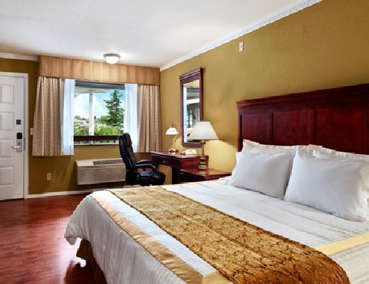 King Room - Non-Smoking