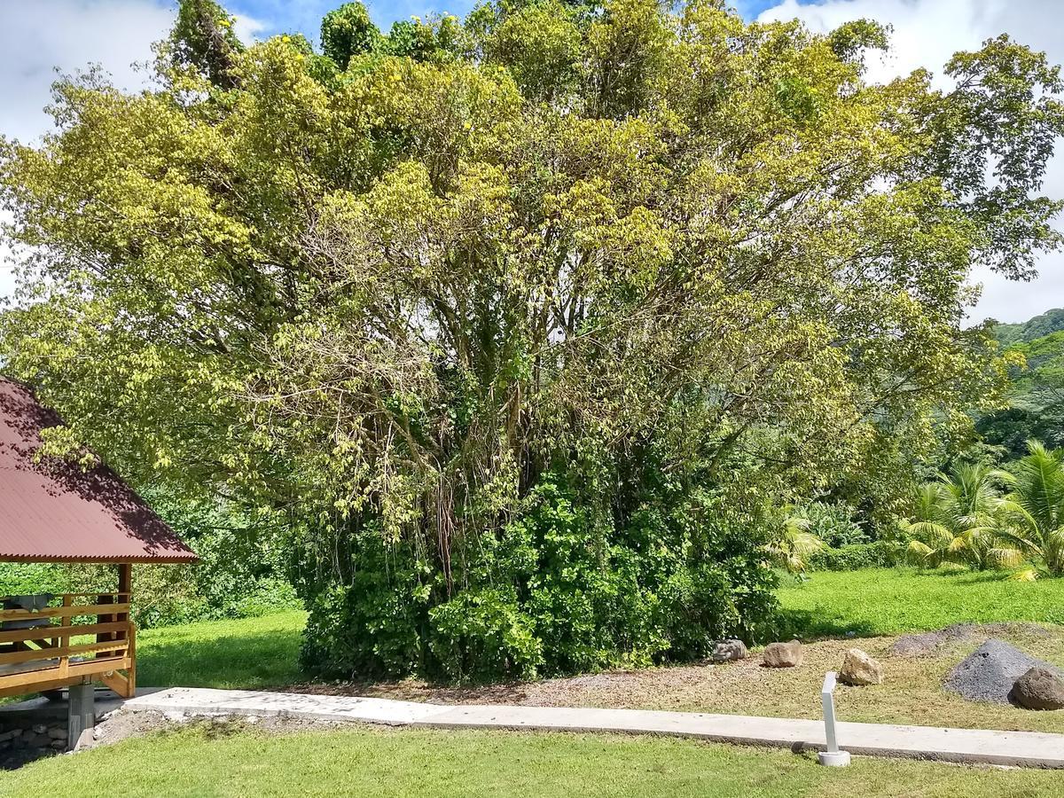 Bungalow with Patio
