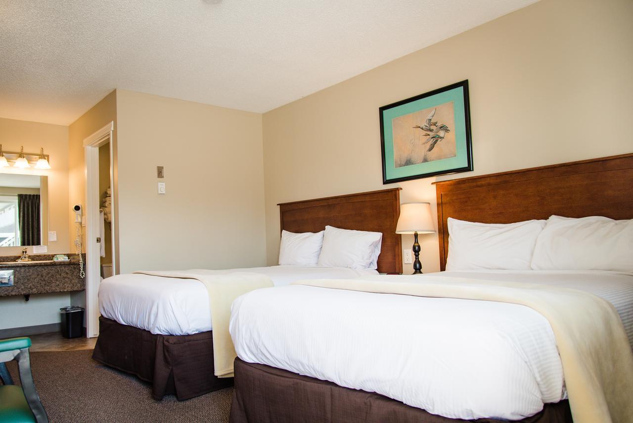 Standard Double Room with Two Double Beds
