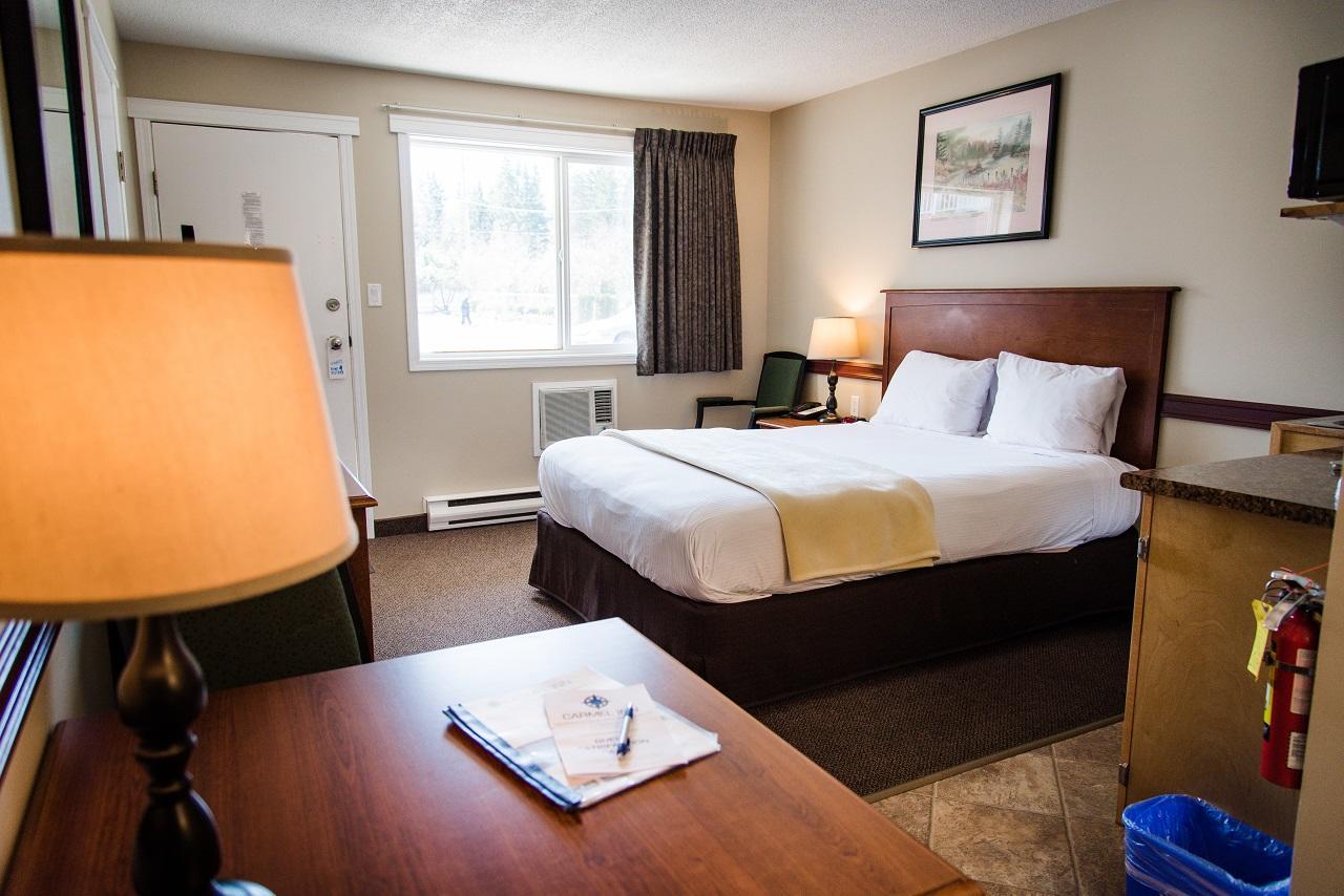Standard Queen Room - Pet Friendly