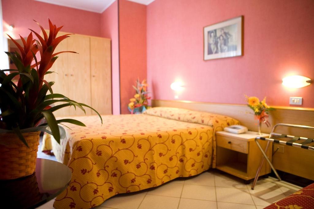 Standard Double or Twin Room,66258631:JPEG