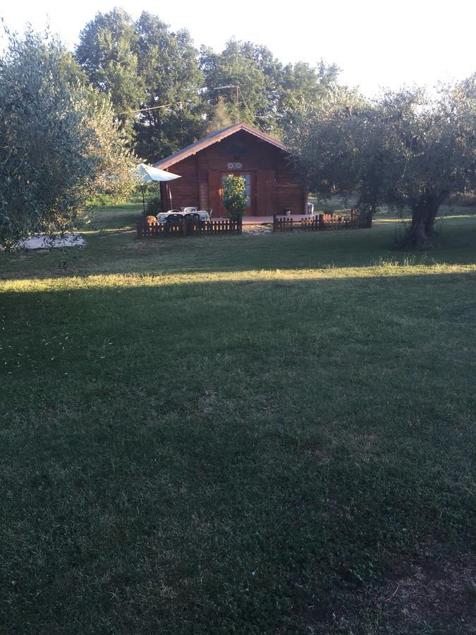 Appartamento con 1 Camera da Letto e Vista Giardino