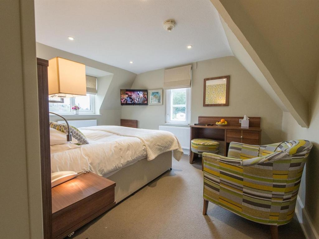 Standard King Room