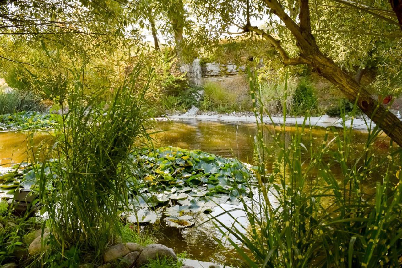 Suite Rez-de-Chaussée - Côté Fontaine