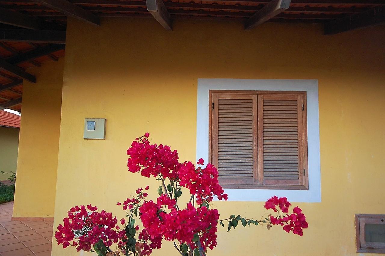 Bungalow Garden View
