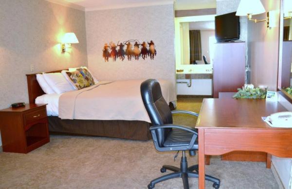 Standard King Room - Non Smoking