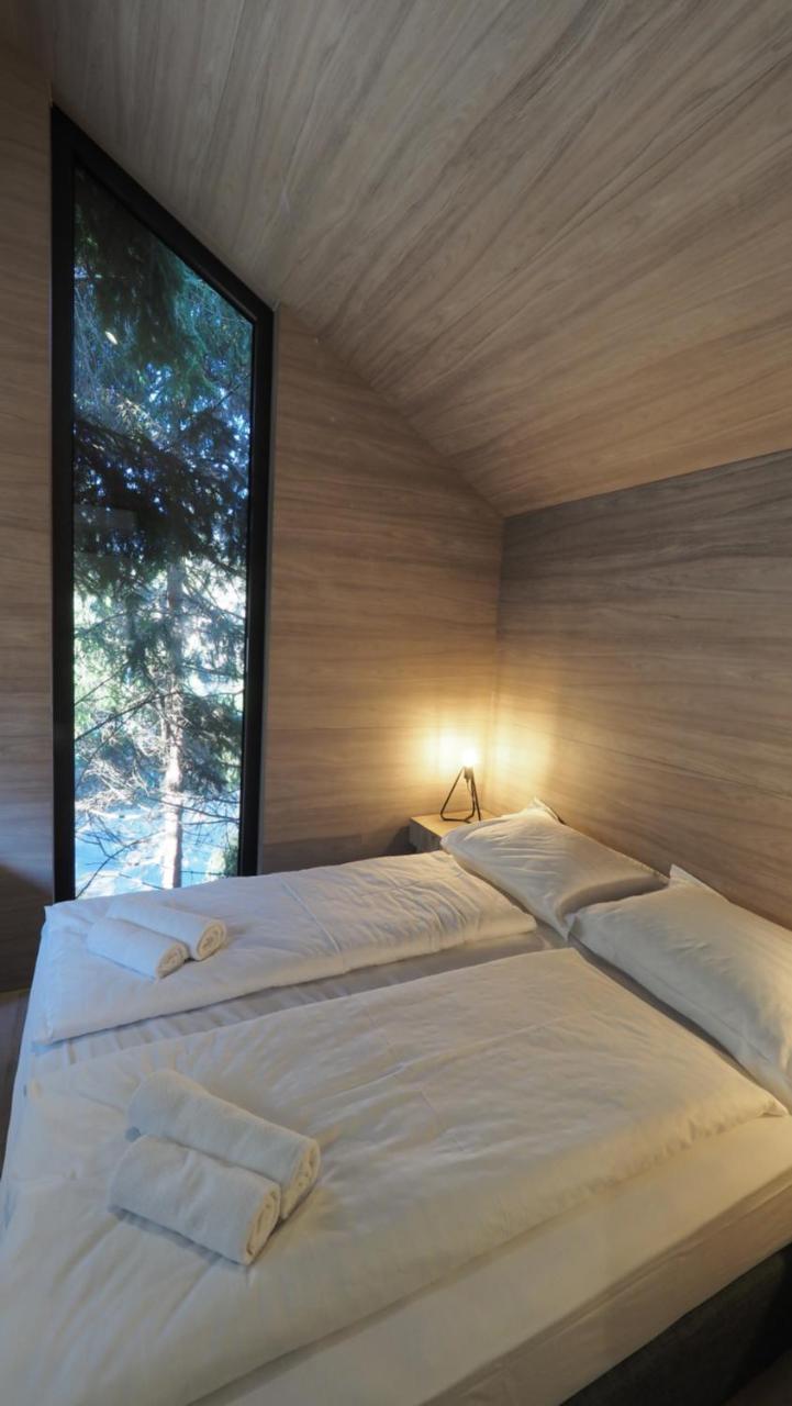 Offre Spéciale - Cabane dans les Arbres avec Dîner Gratuit