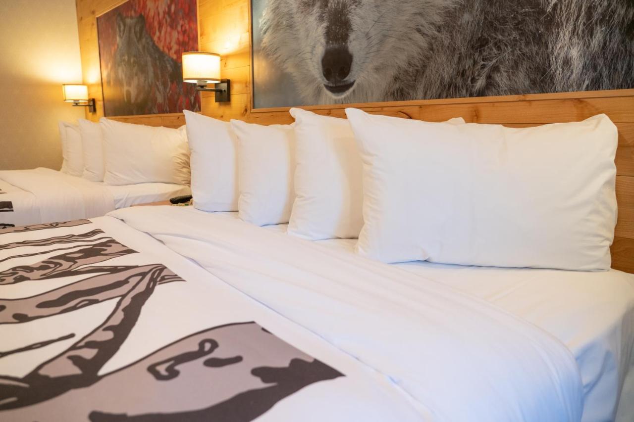 Junior Suite mit 2 Queensize-Betten