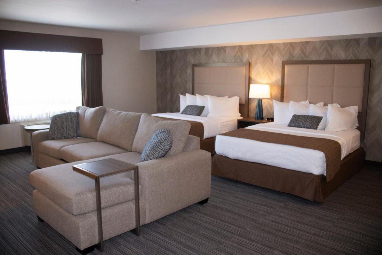 Queen Studio Suite with Sofa Bed