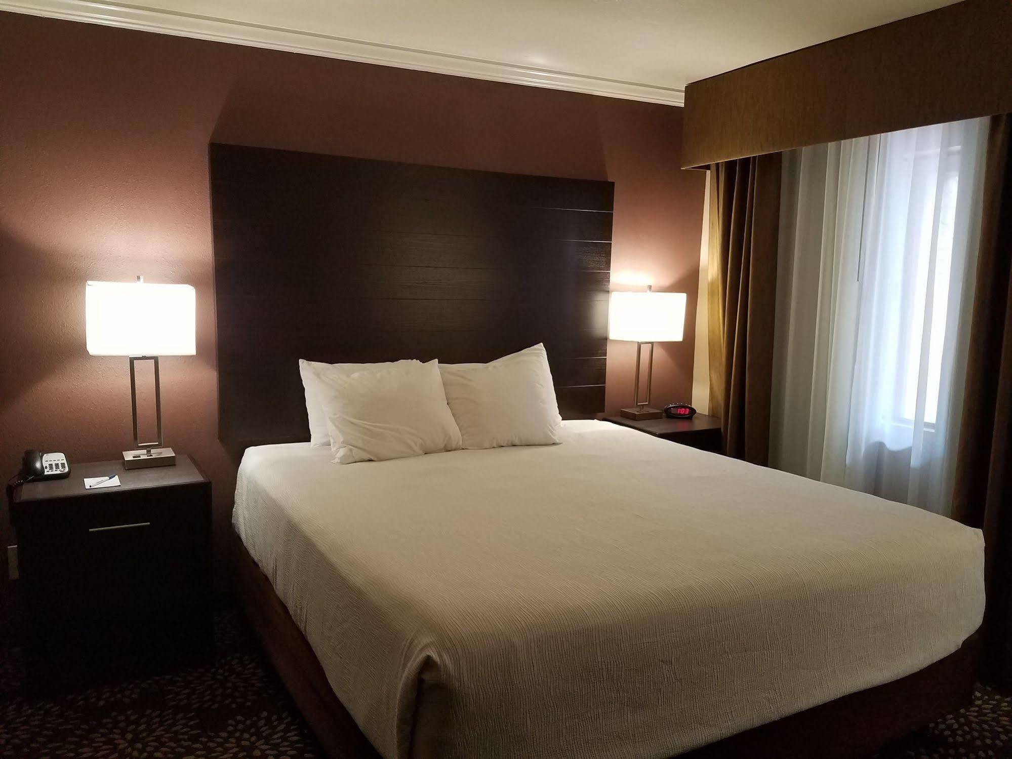 King Suite with Sofa Bed - Non-Smoking