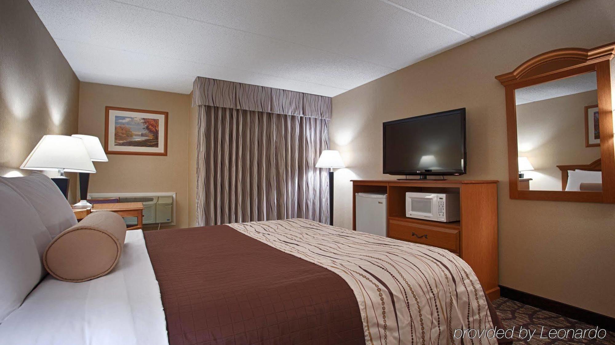 King Room Pet Friendly or Non-Smoking