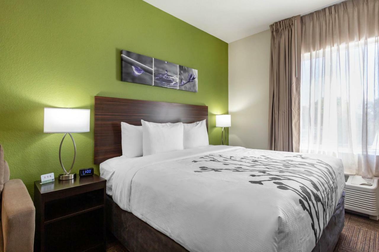 King Suite with Sofa Bed - Non-Smoking