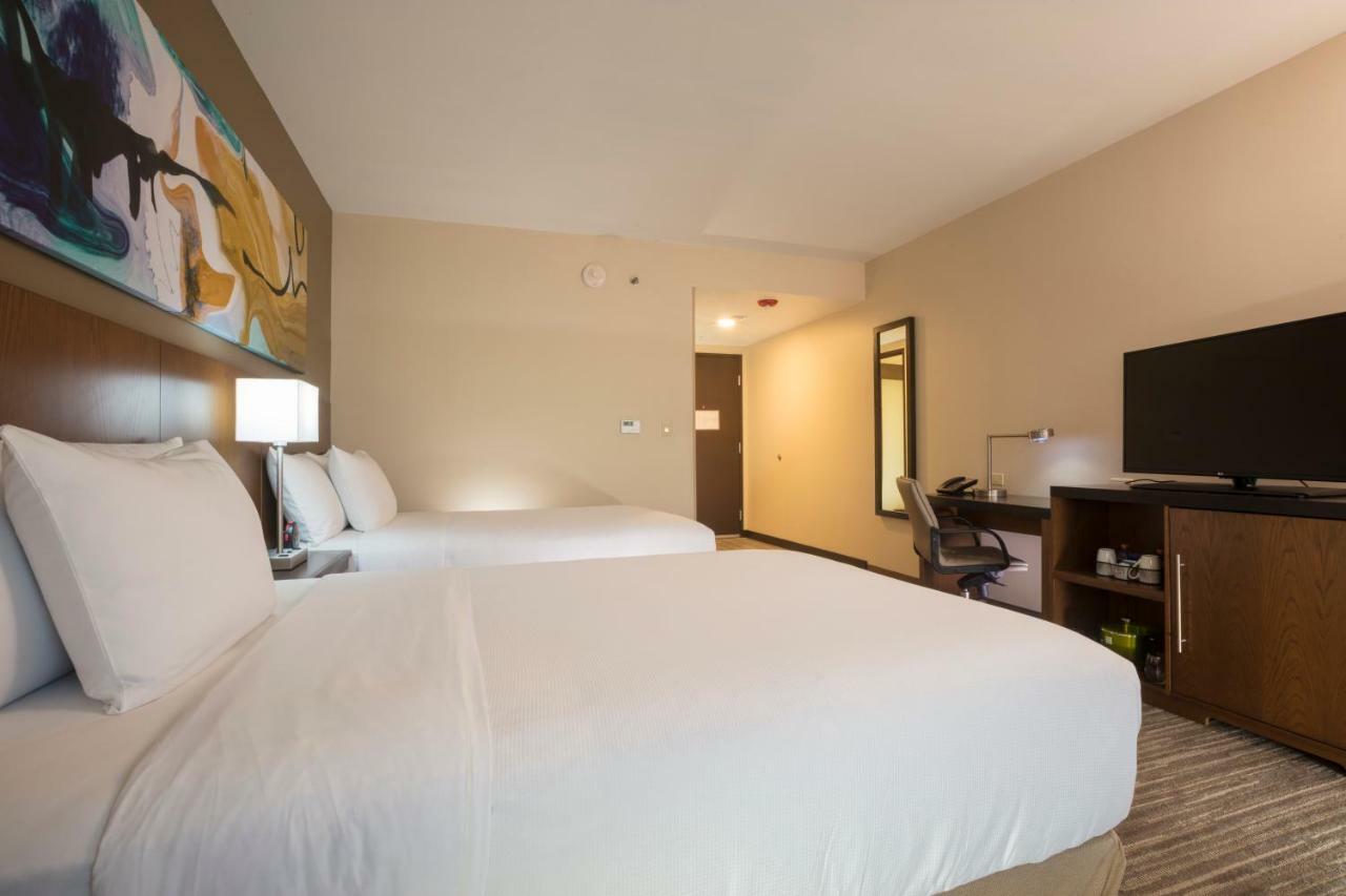 Habitación Doble con sofá cama