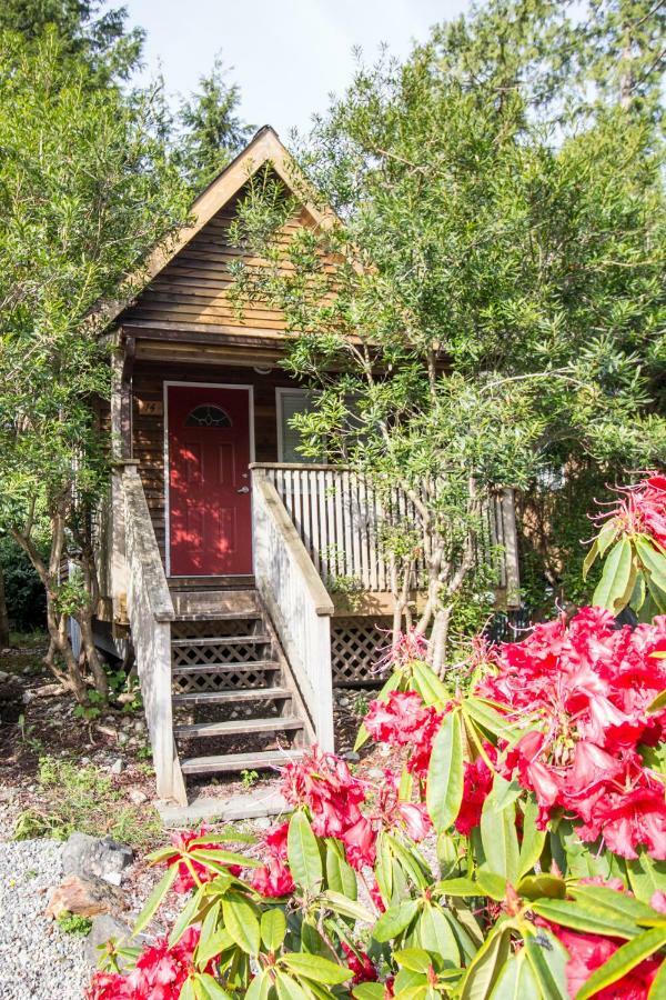 Studio Cottage A