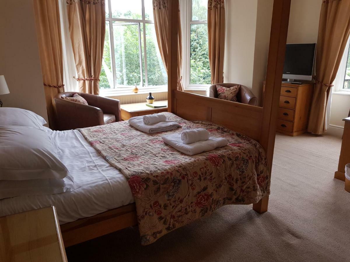 King Room Not Pet-Friendly