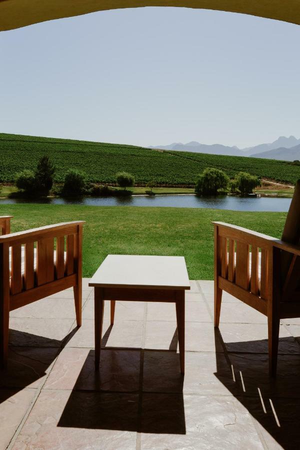 Suite Vineyard