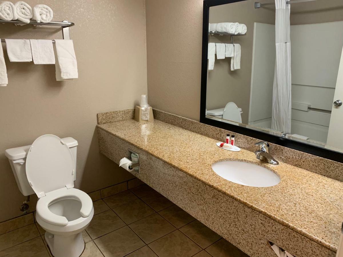 King Studio Suite - Non-Smoking