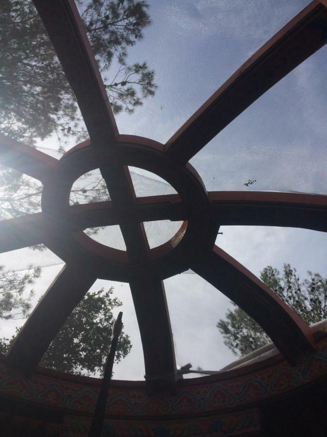 Tent,857212280:JPEG